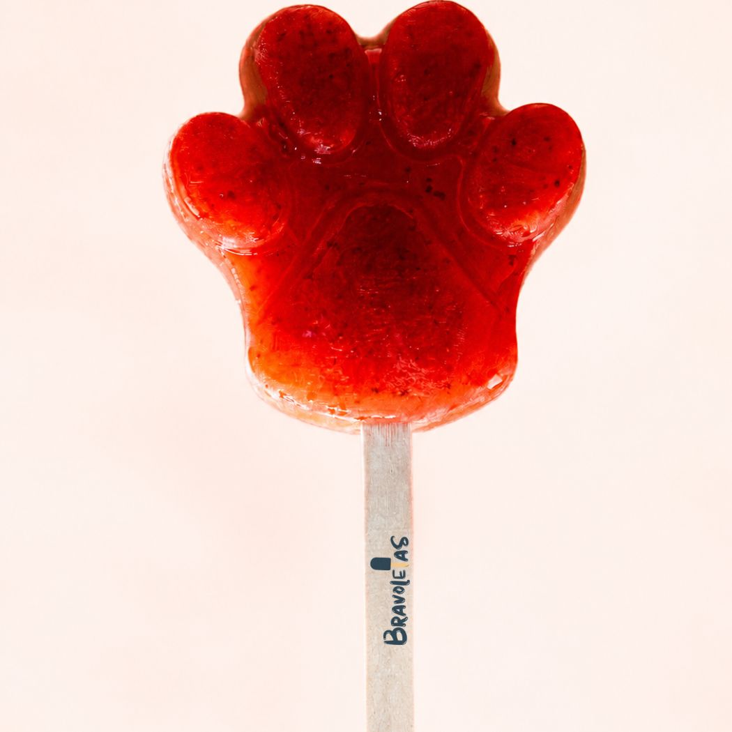 Paleta artesanal con forma de patita